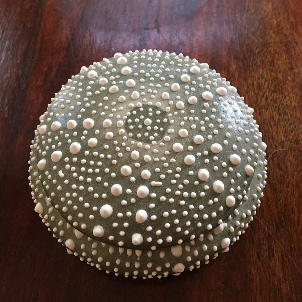 Shell trinket box